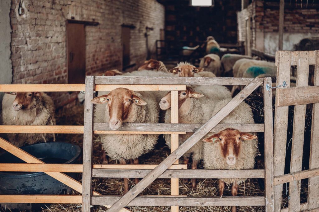 Personal Branding Fotografie Saarland