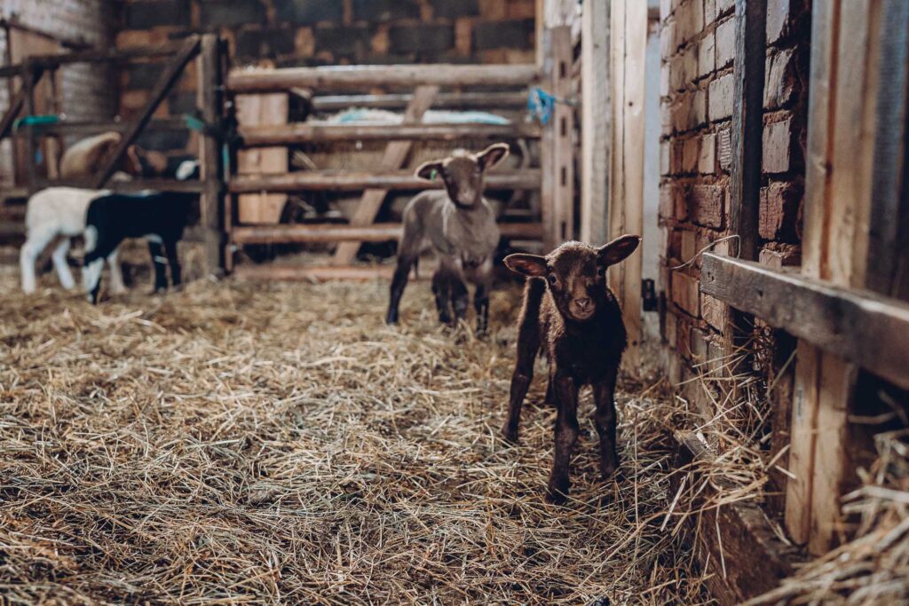 Personal Branding Fotografie Saarland