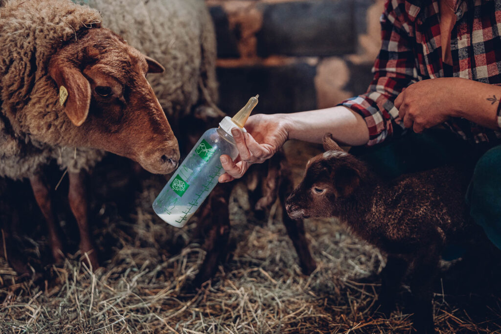 Personal Branding Fotografie Saarland