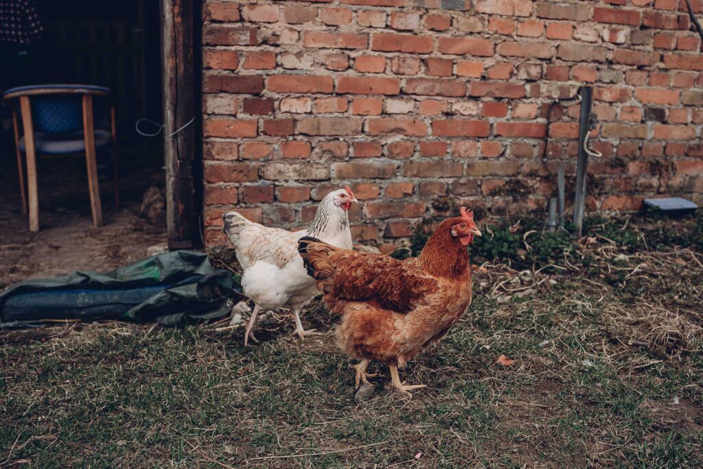 Personal Branding Fotografie Saarland