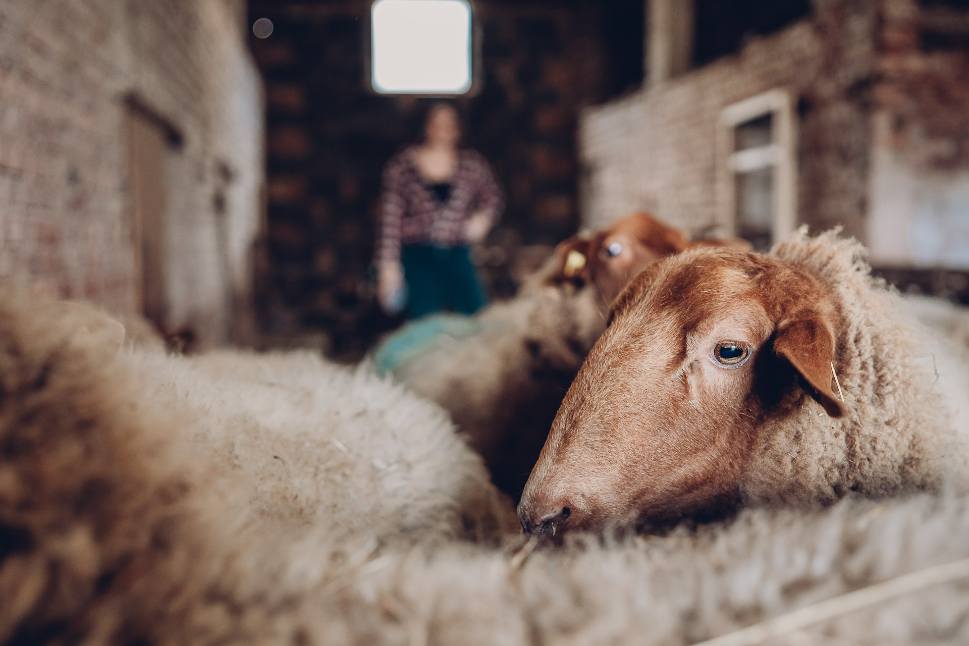 Personal Branding Fotografie Saarland