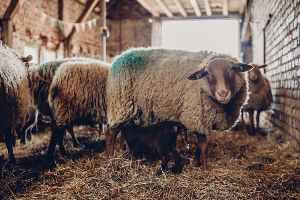 Personal Branding Fotografie Saarland