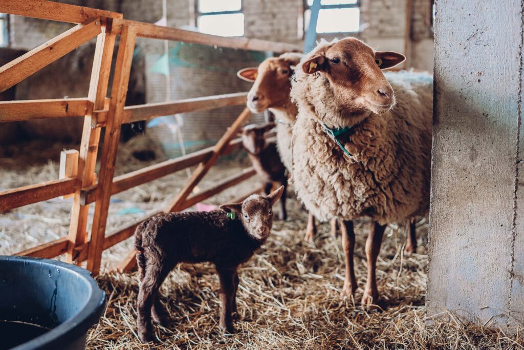 Personal Branding Fotografie Saarland