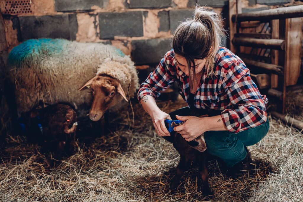 Personal Branding Fotografie Saarland
