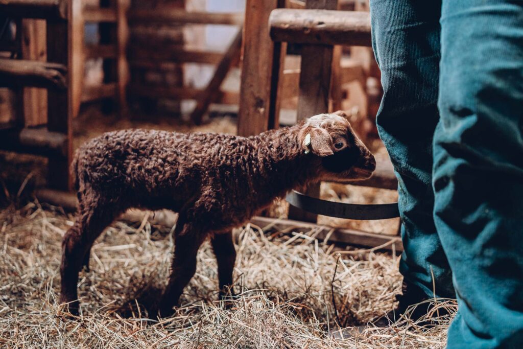 Personal Branding Fotografie Saarland