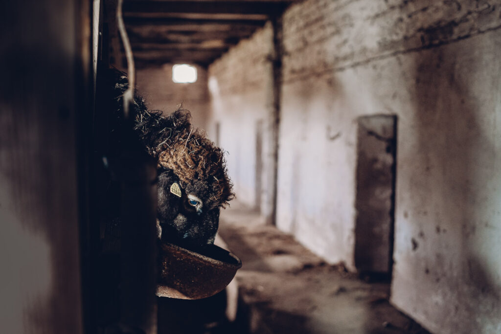 Personal Branding Fotografie Saarland