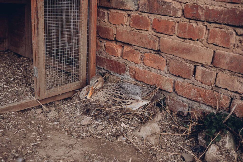 Personal Branding Fotografie Saarland