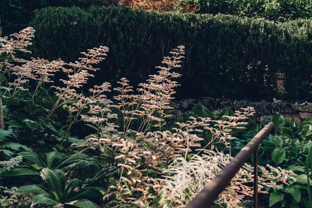 Businessfotografie Saarland