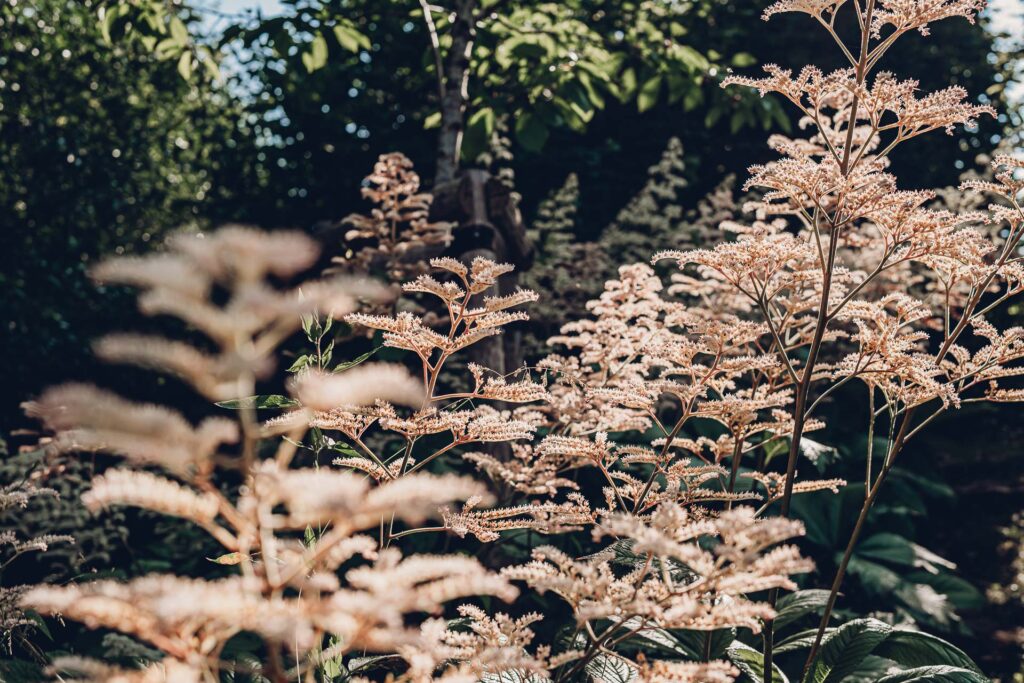 Businessfotografie Saarland