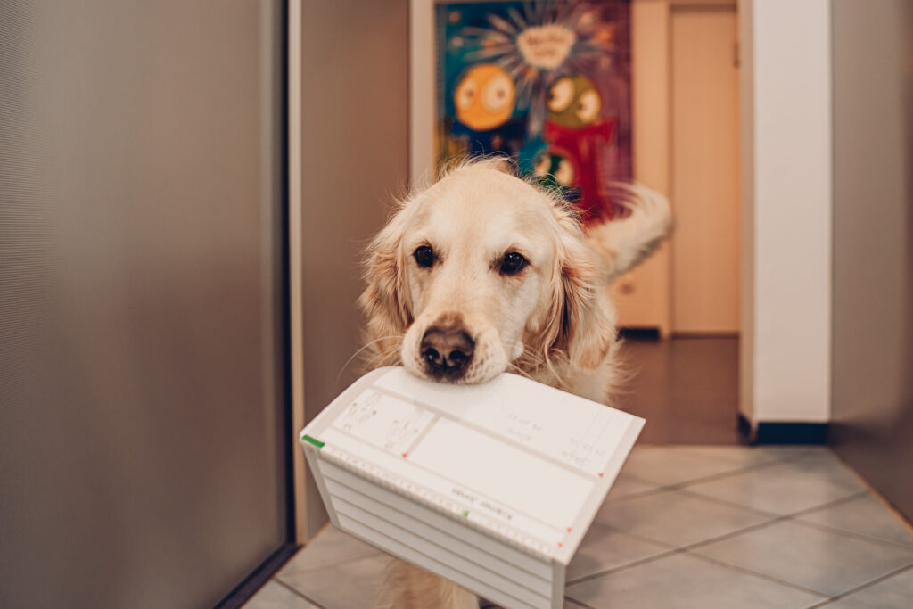 Businessfotografie Saarland