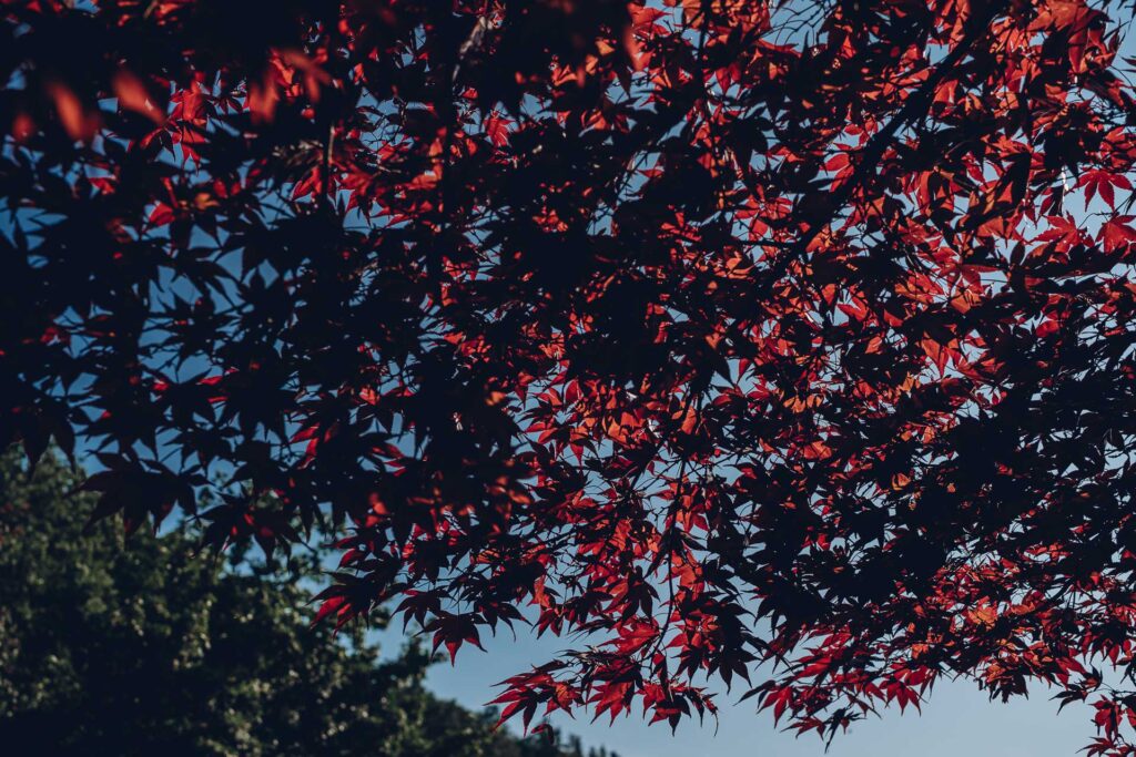 Businessfotografie Saarland